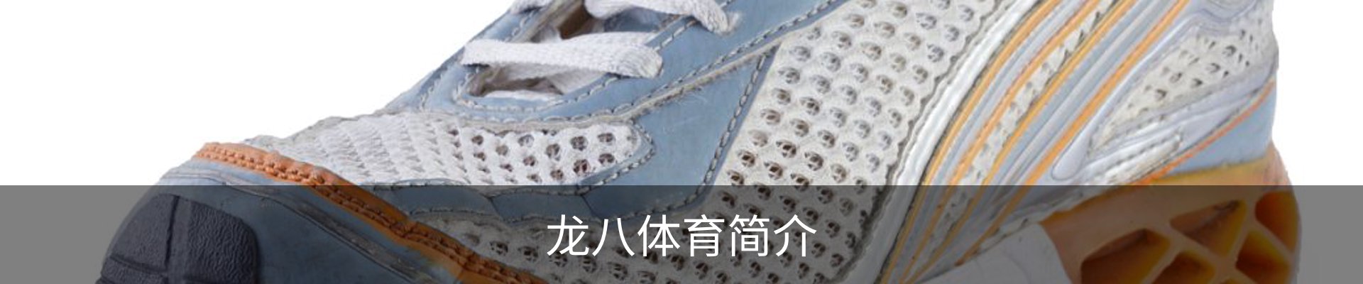 龙八体育简介